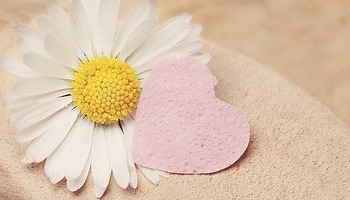 Energie update Witte Hond levenspad 17 februari - 1 maart 2022